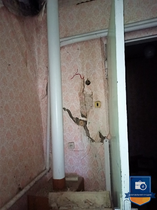 image-238135080