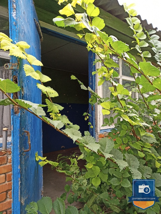 image-238135088