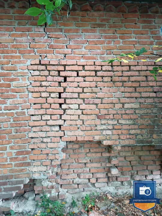 image-238135087