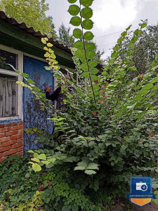 image-238135085