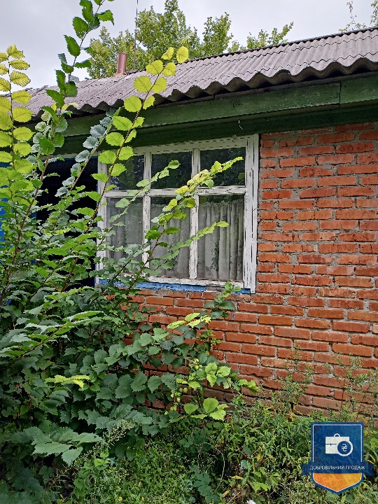 image-238135082