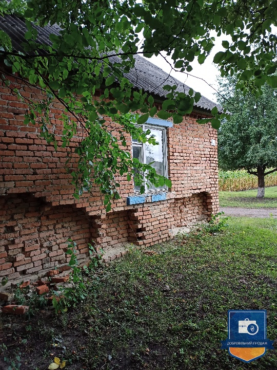 image-238135090