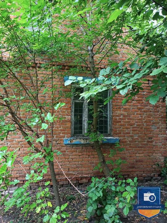 image-238135089