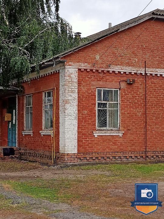 image-234526435