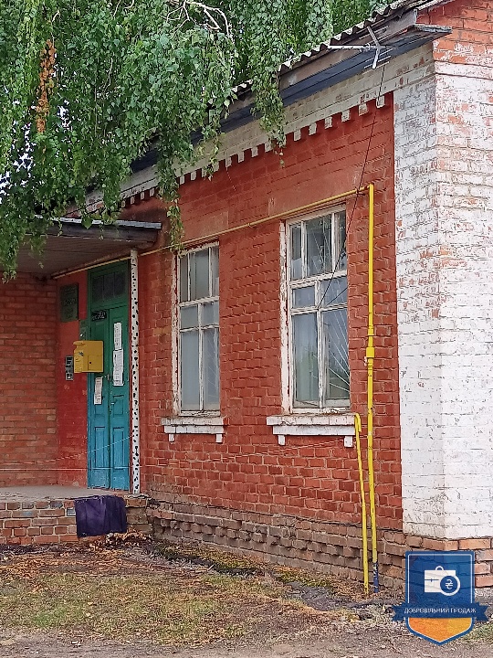 image-234526433