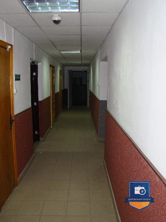 image-236609508