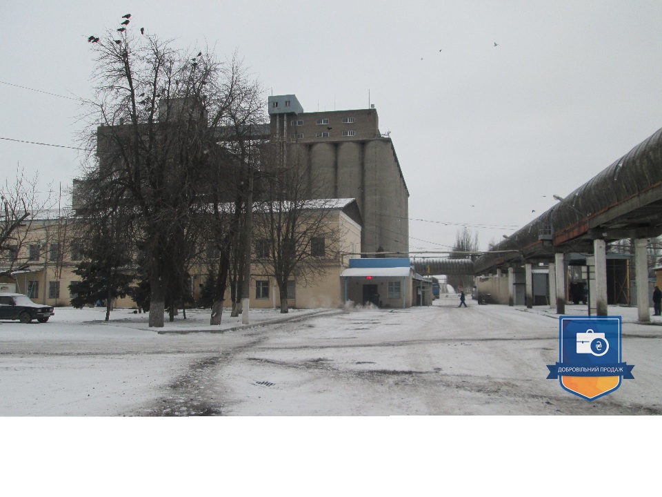 image-236636097
