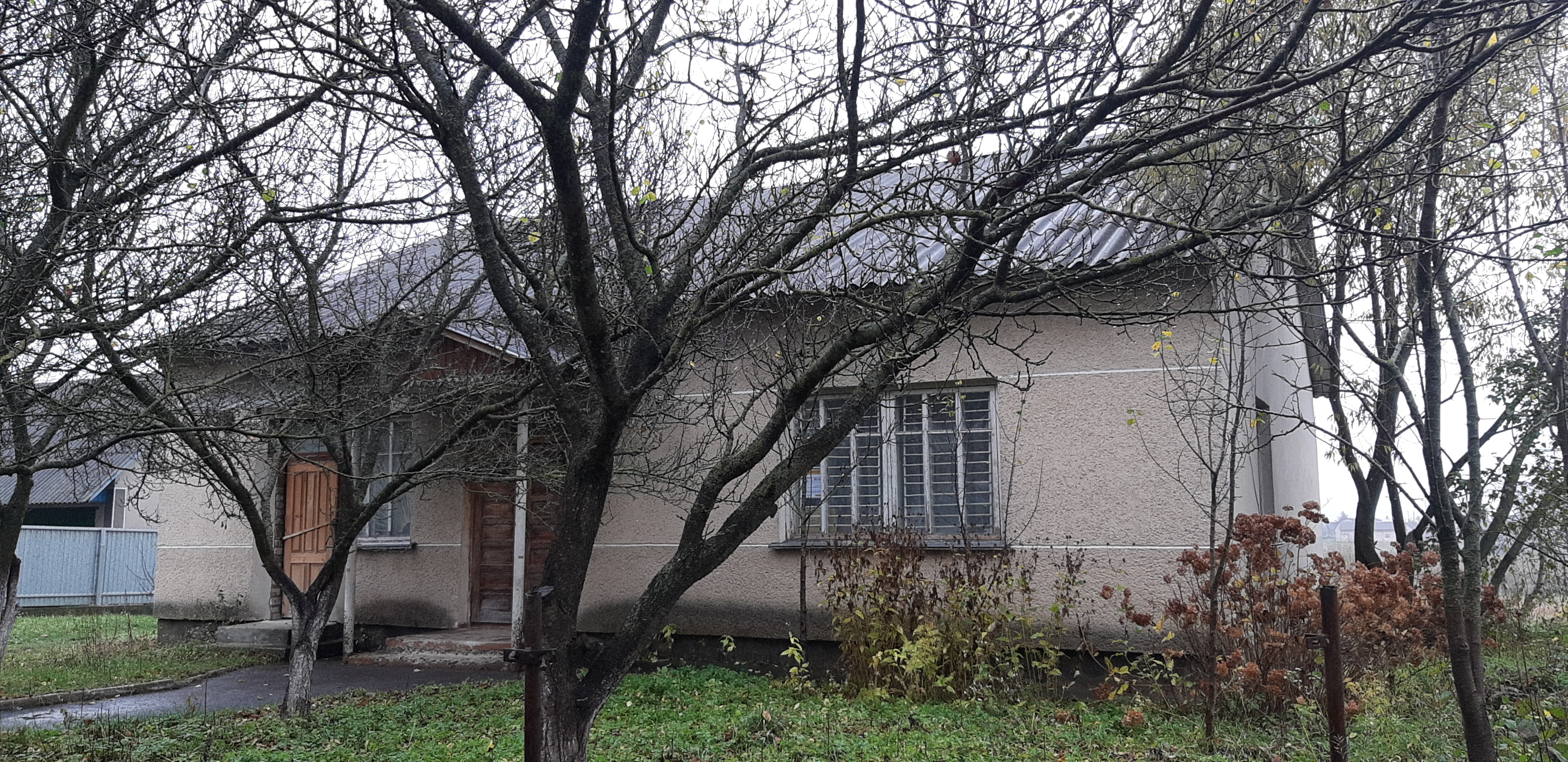 image-239498251