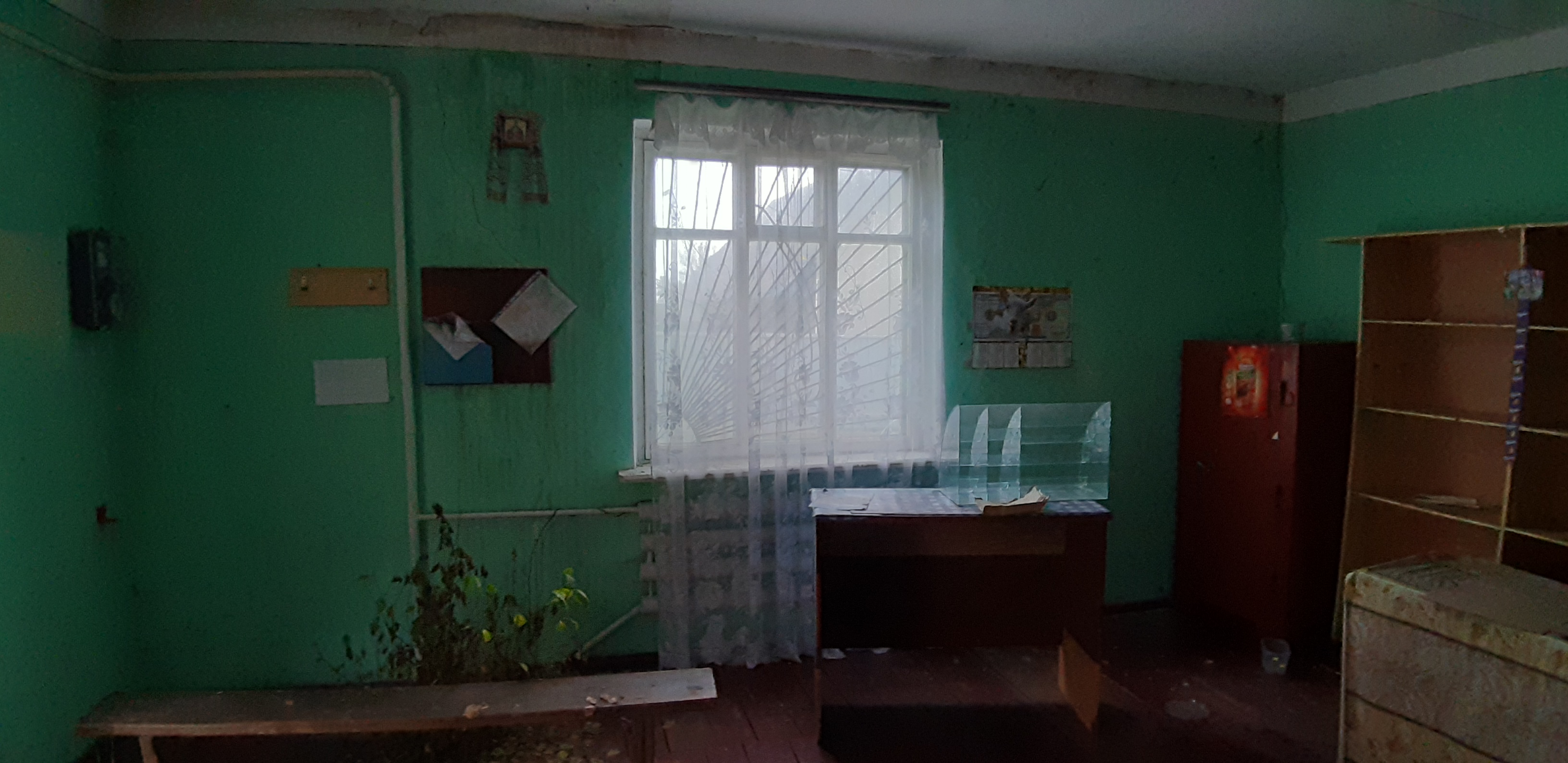 image-239498252