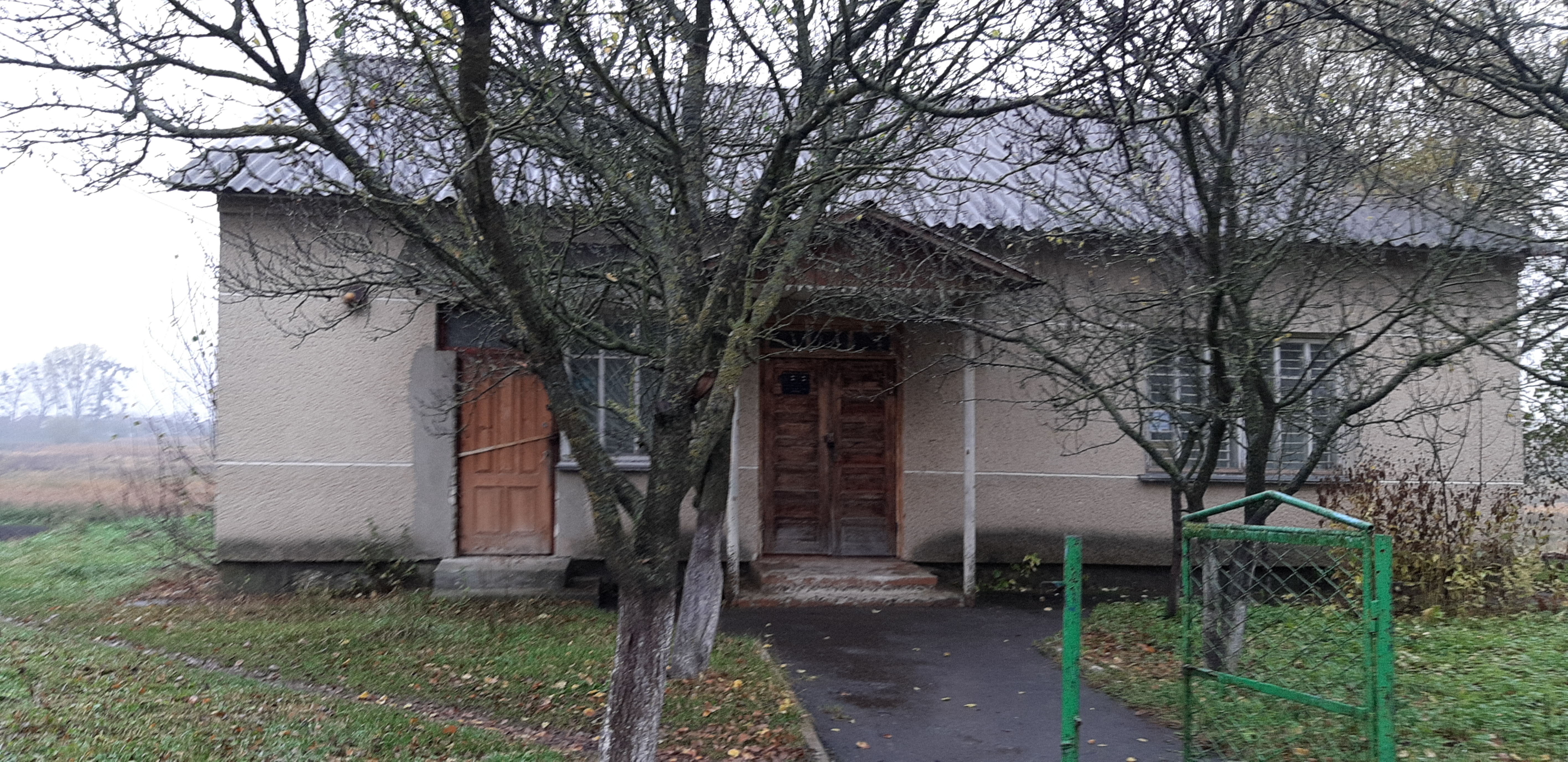 image-239498256