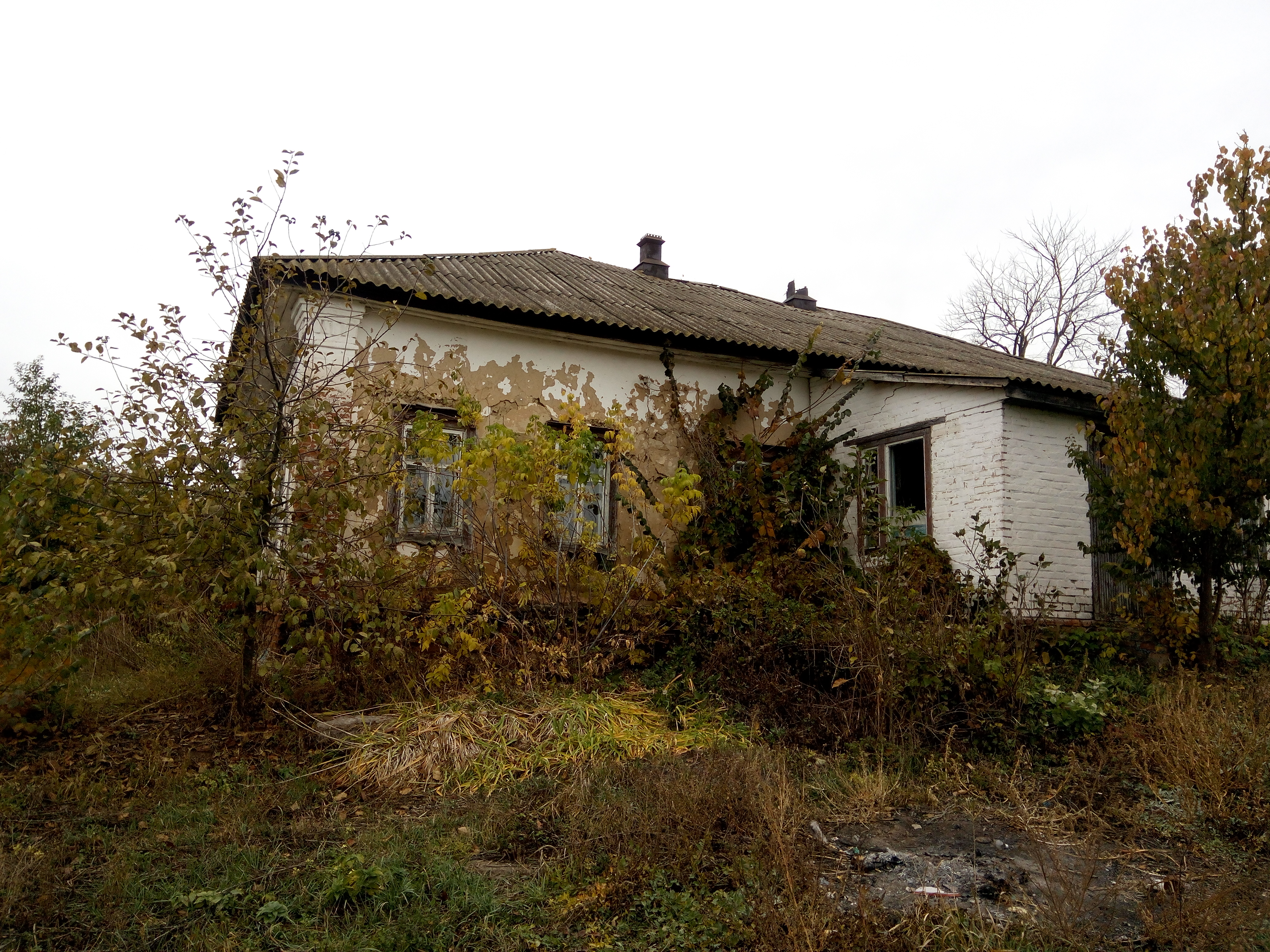 image-32752167