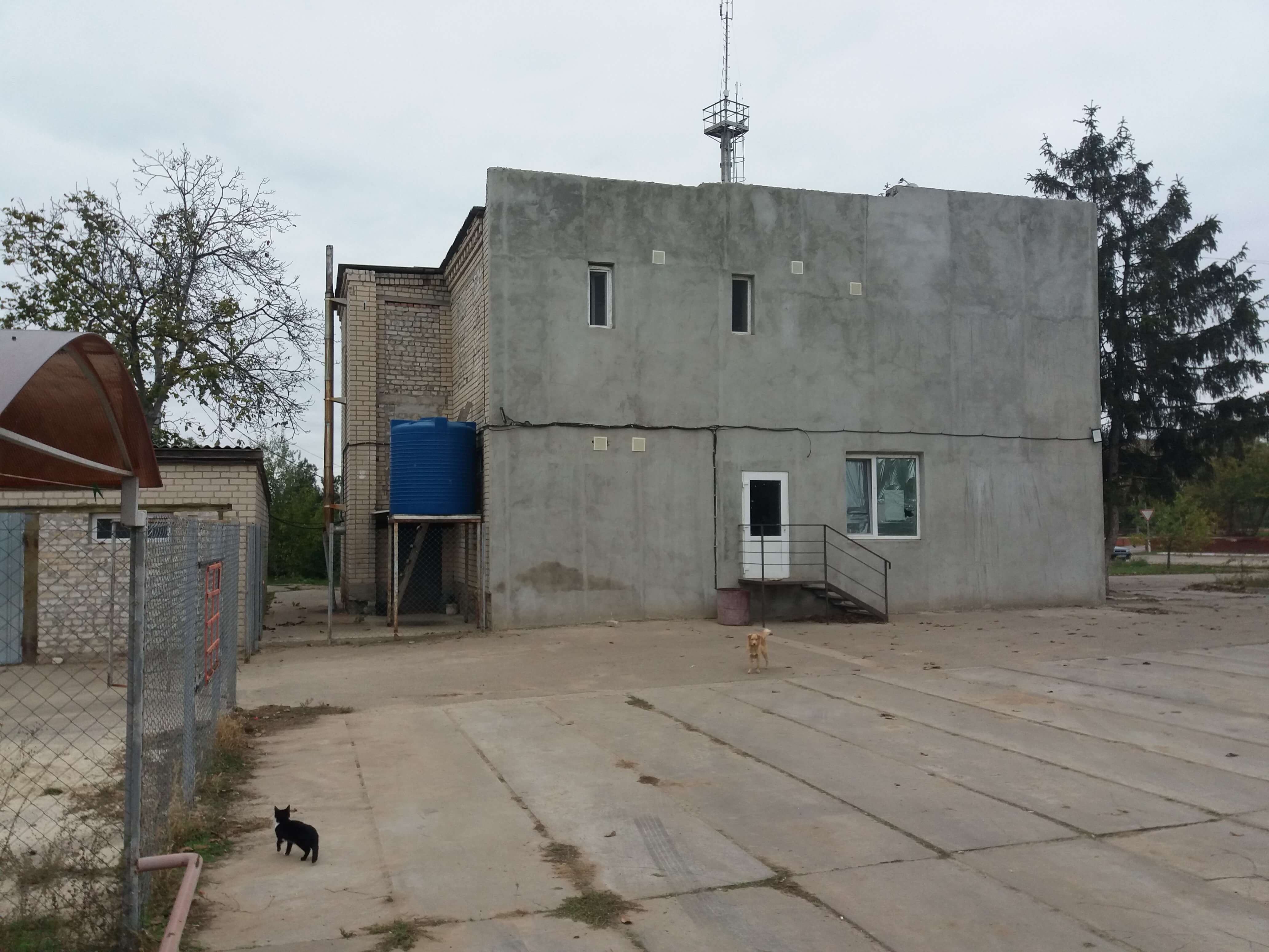 image-239970976