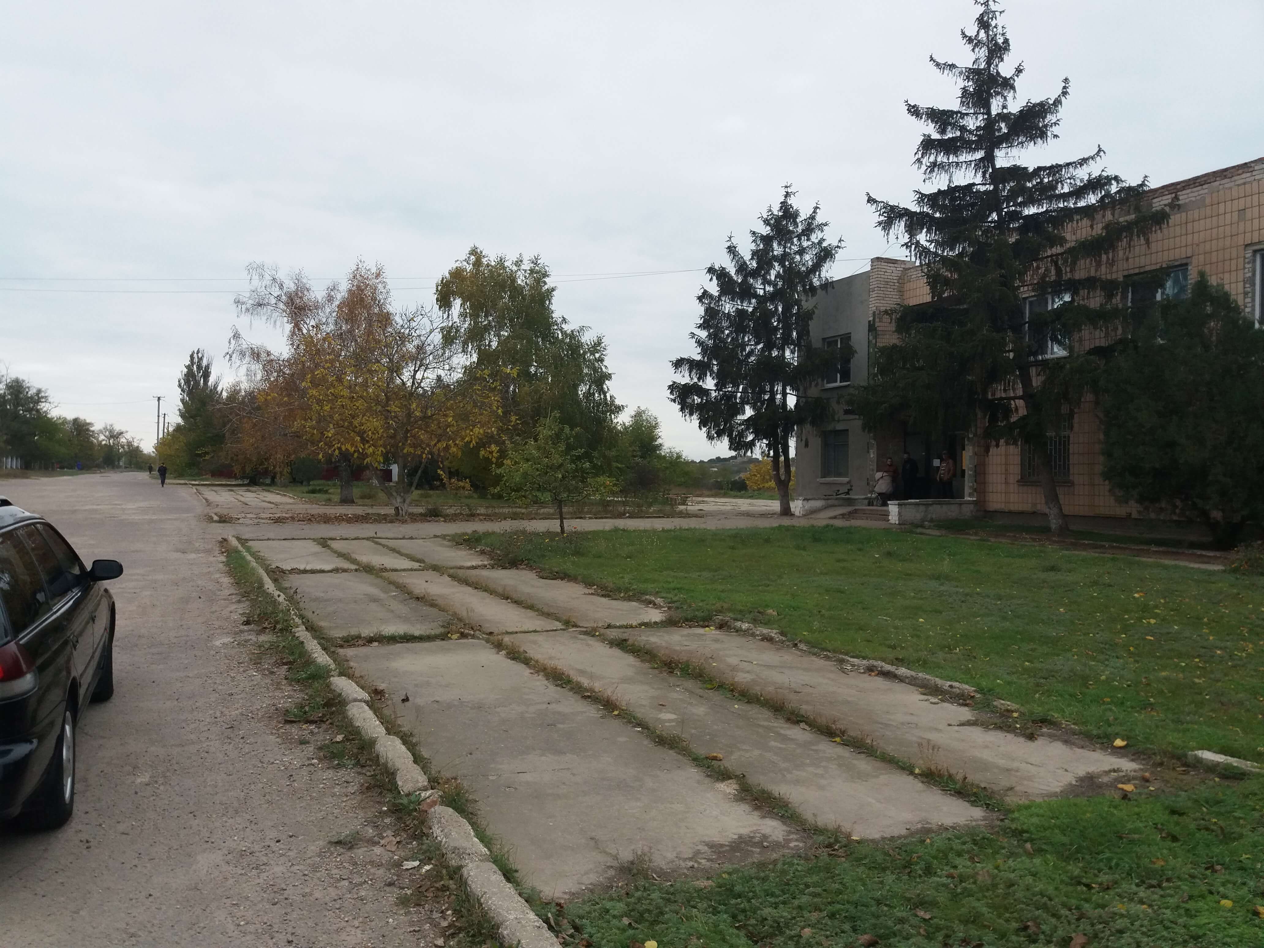 image-239970978