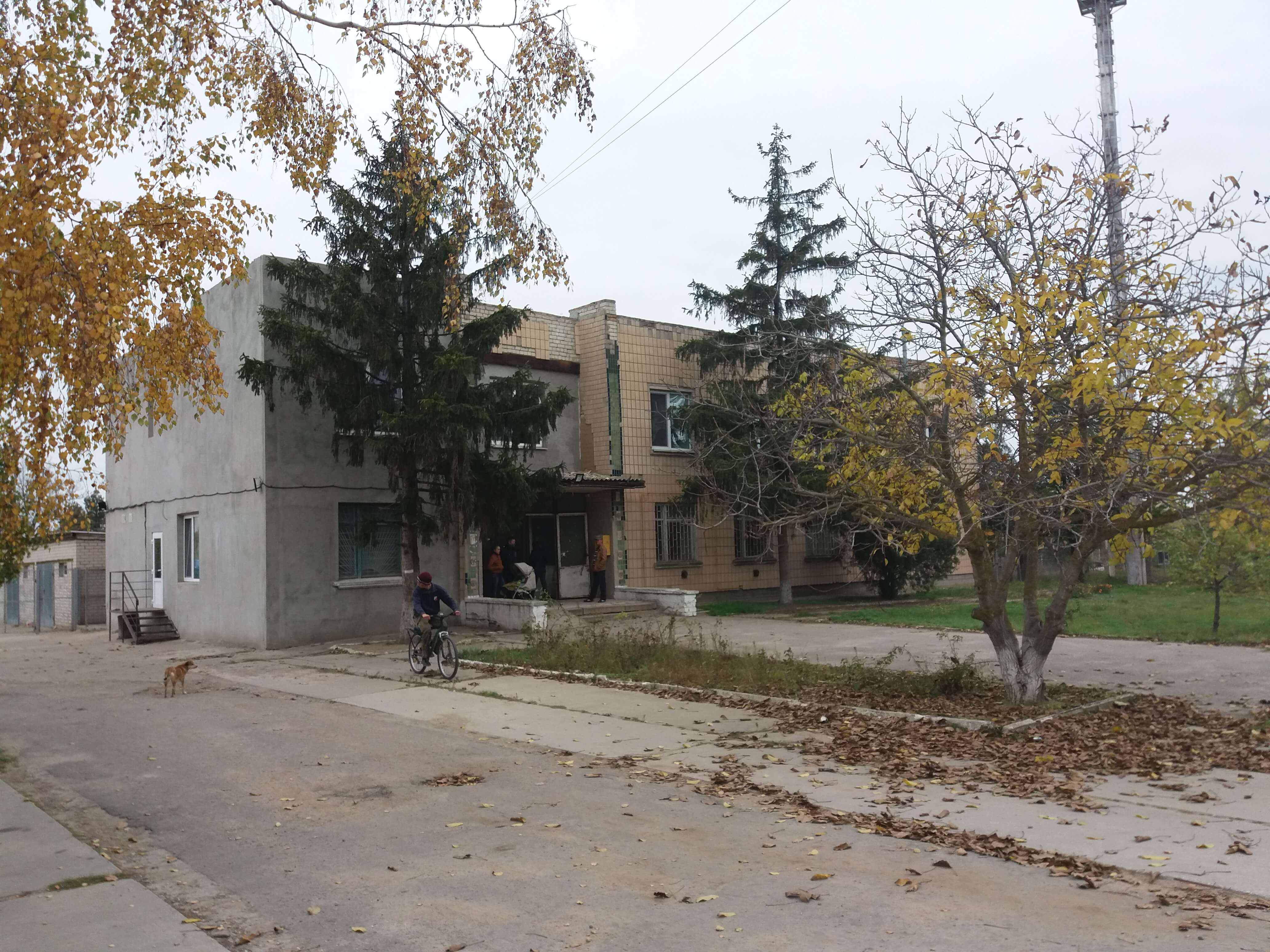 image-239970977