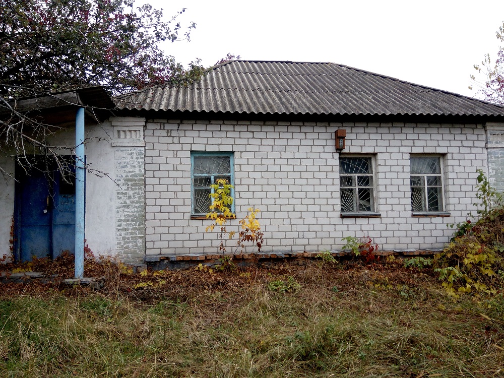 image-24925711