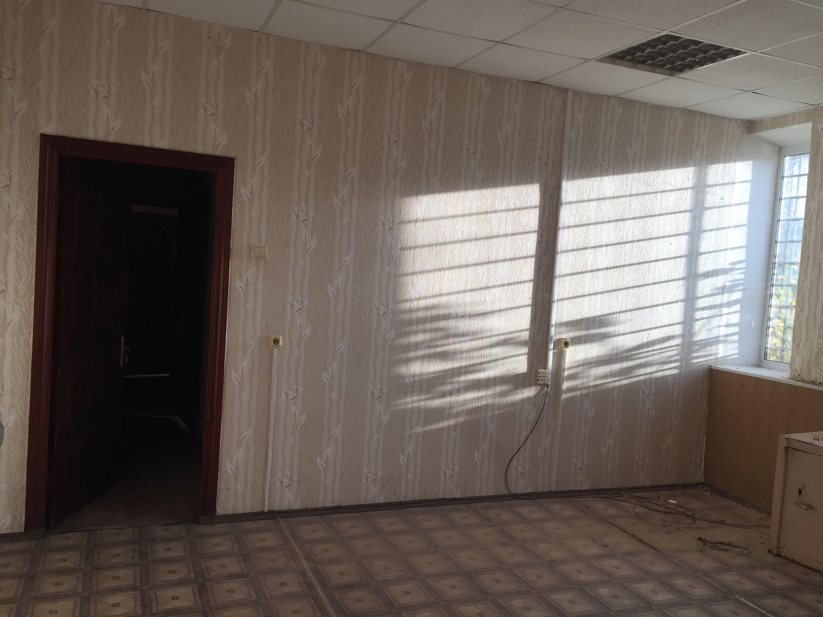 image-234043813