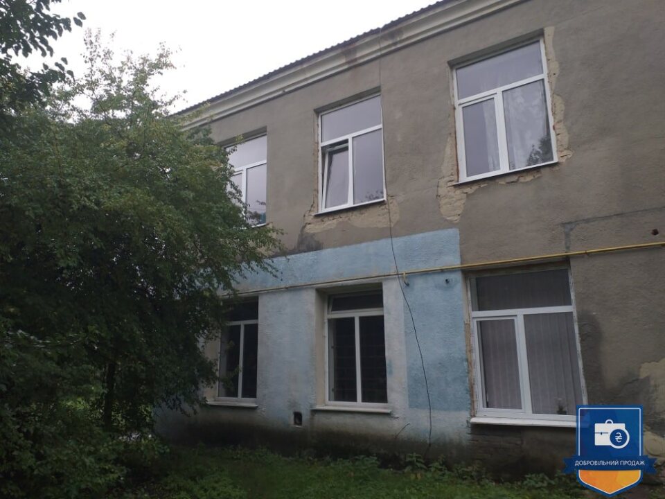 image-113929518