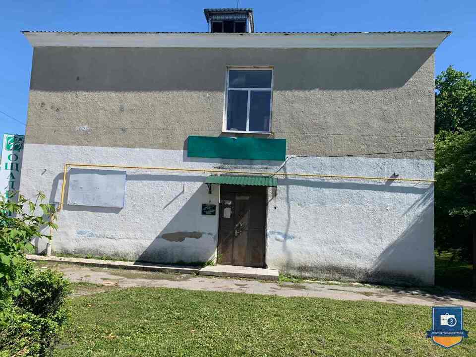 image-113929517
