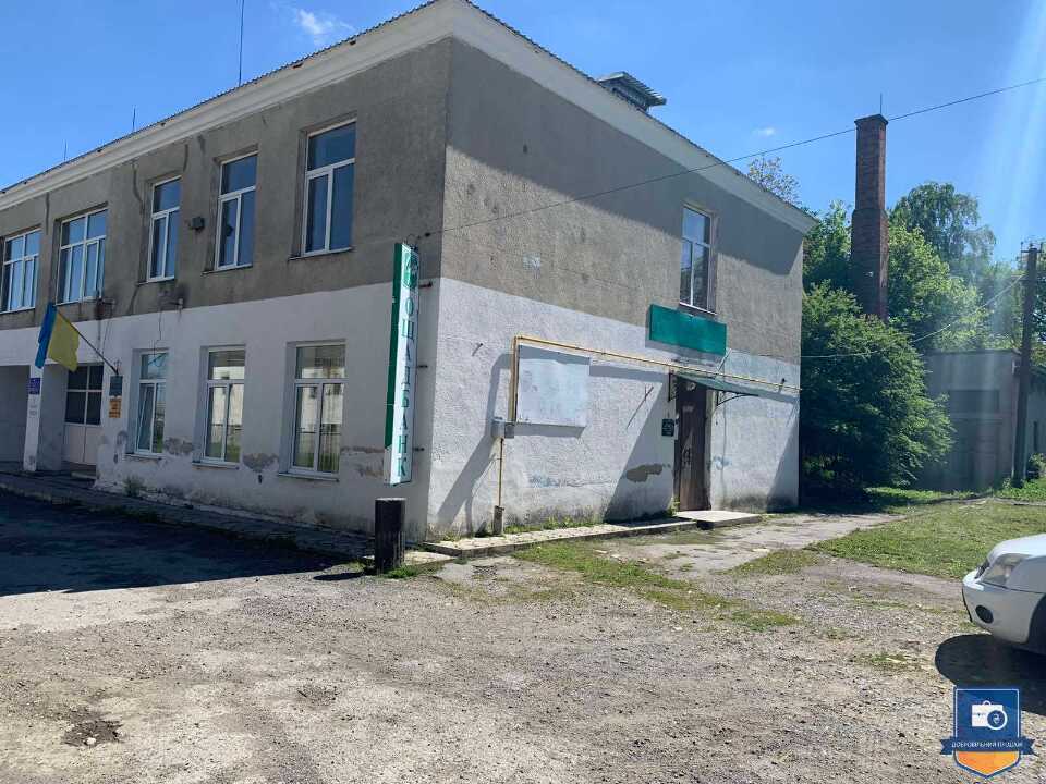 image-113929519
