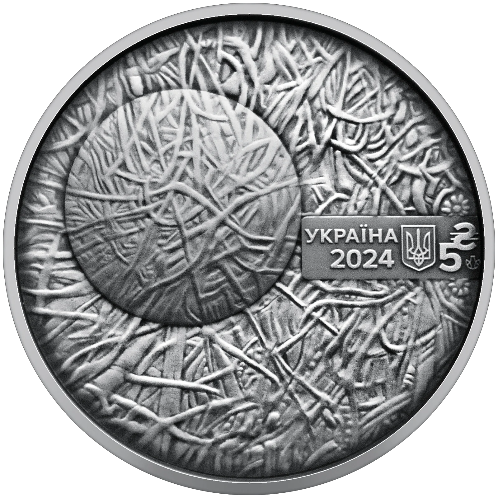 image-241744917