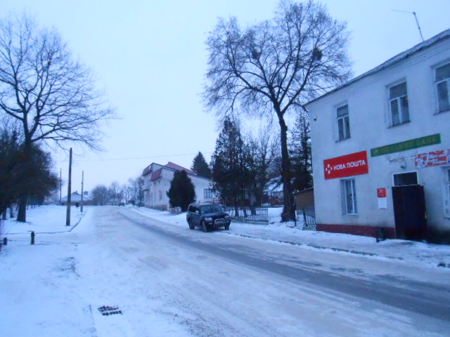 image-6947559