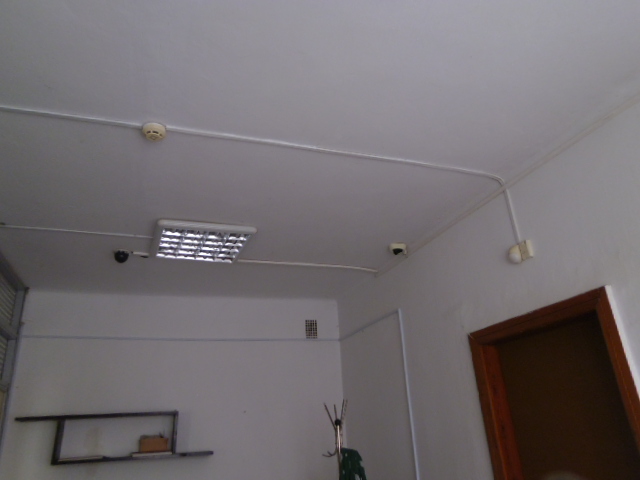 image-21273379