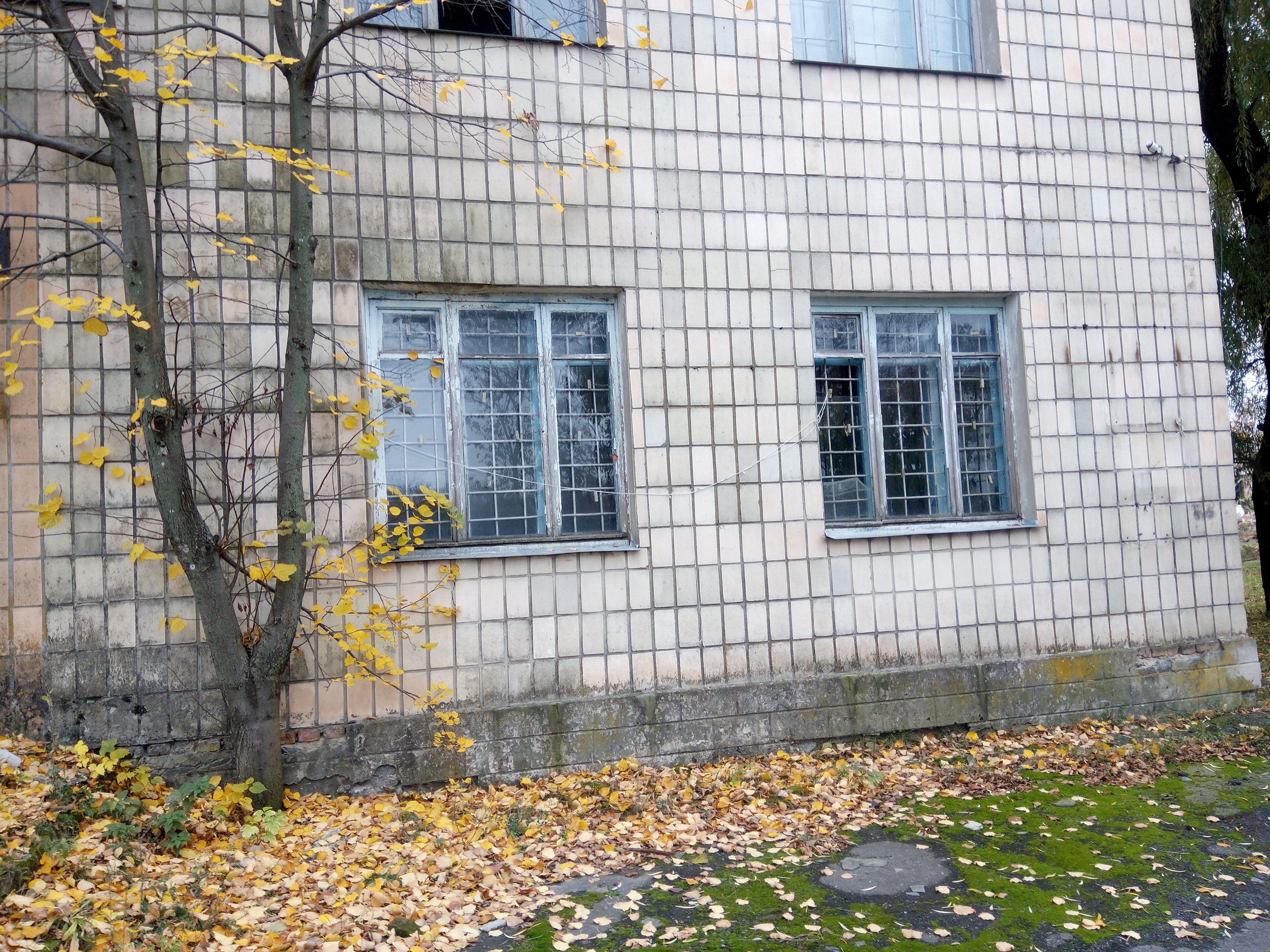 image-6963594