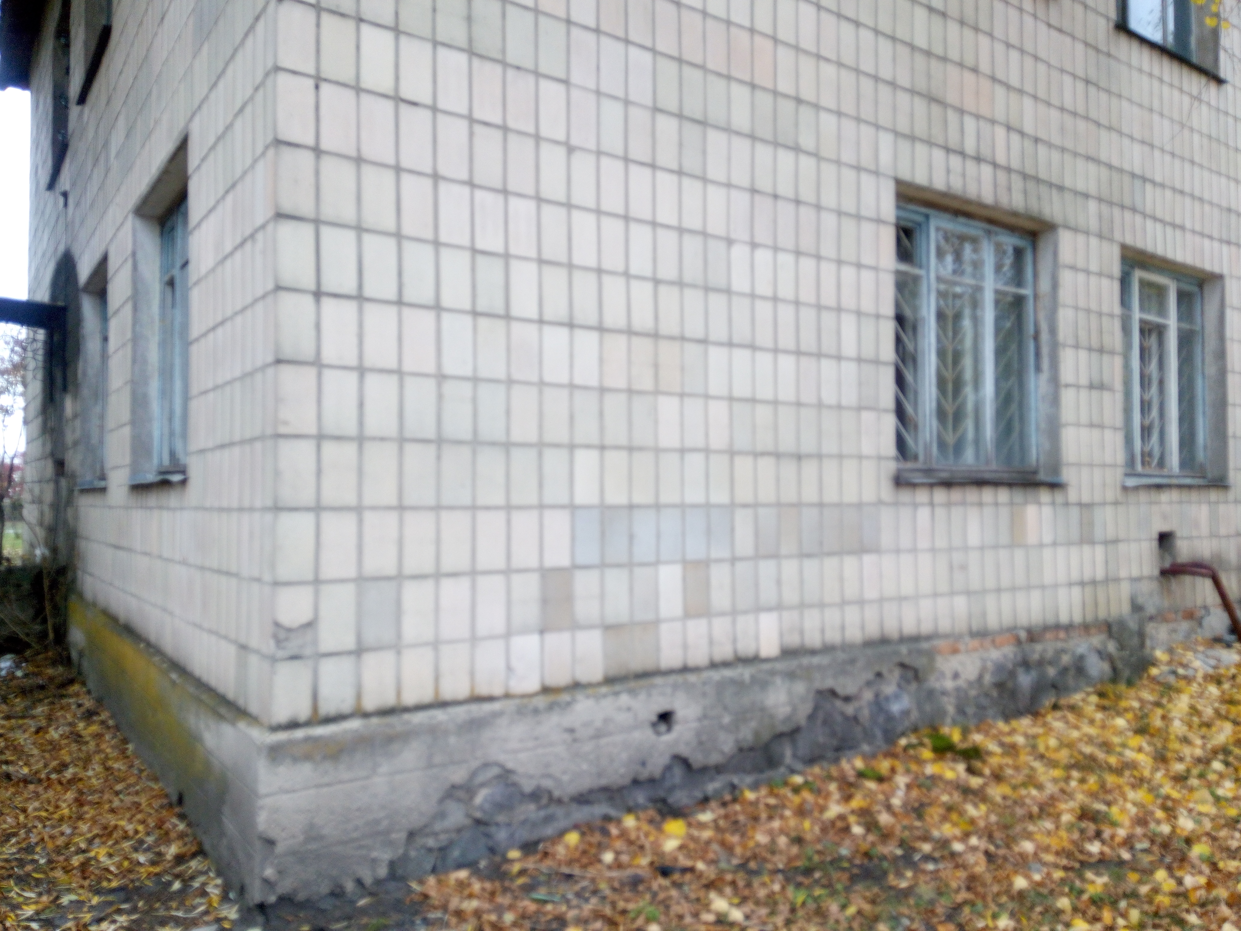 image-6963593