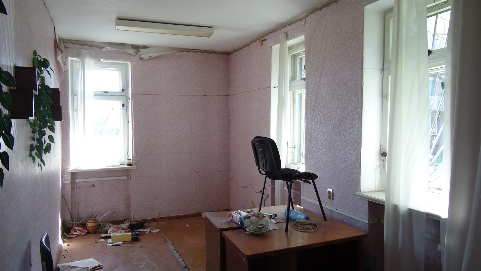 image-6966135