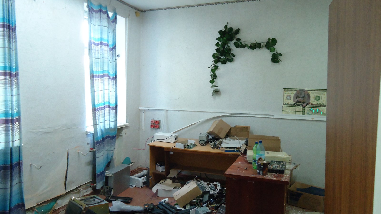 image-6966131