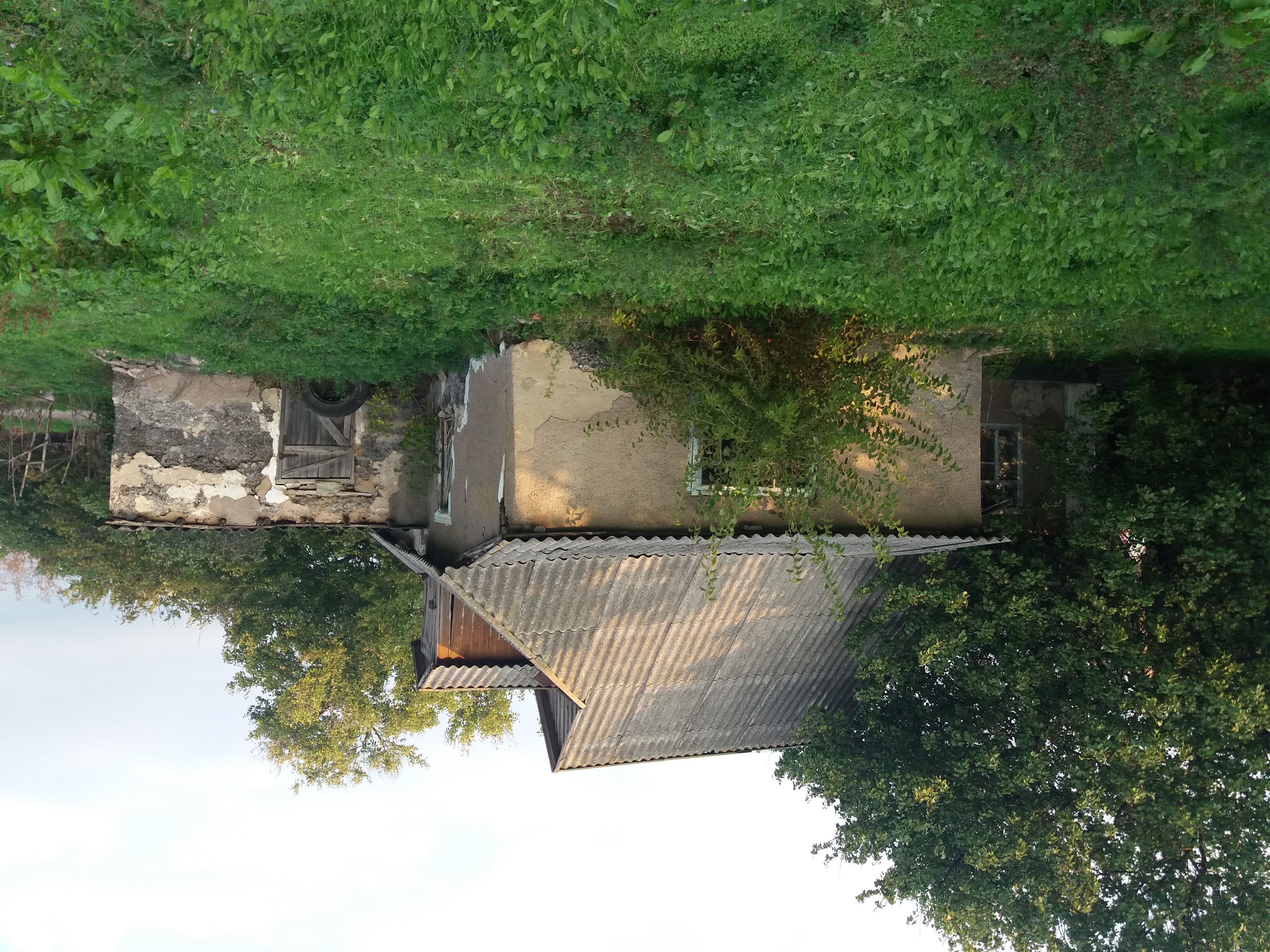 image-21248525