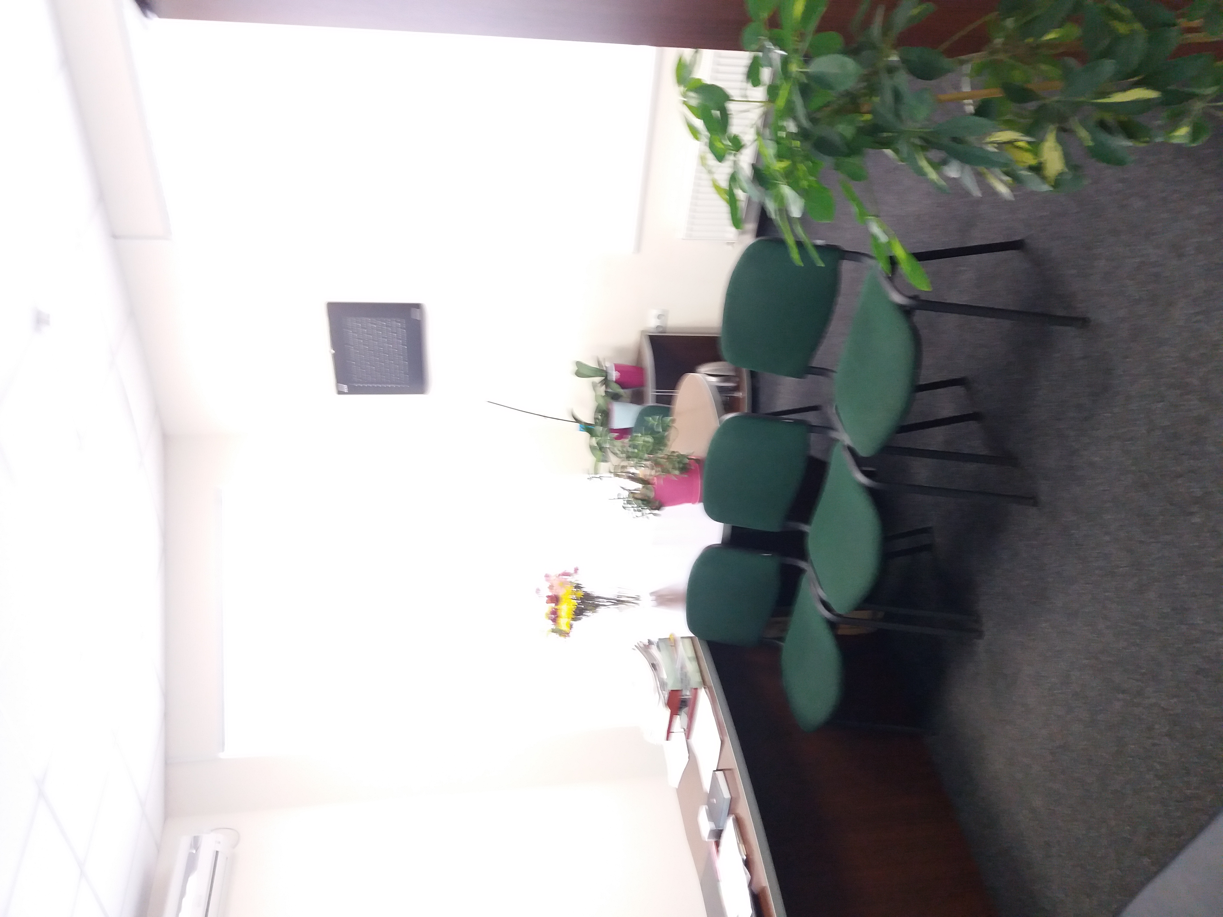 image-26830725