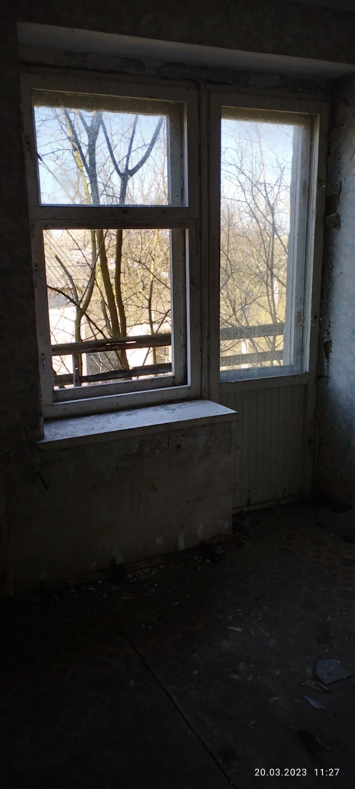 image-6952053