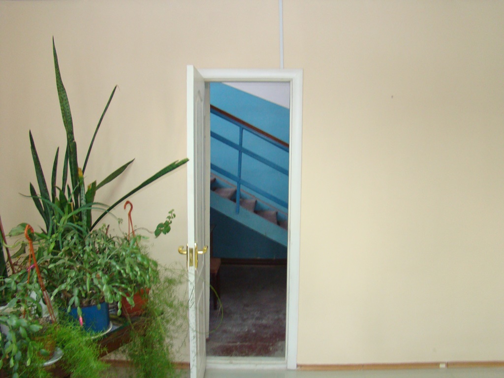 image-6972072