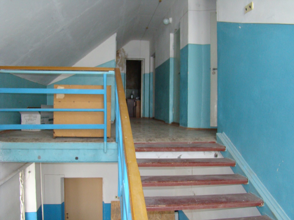 image-6972071