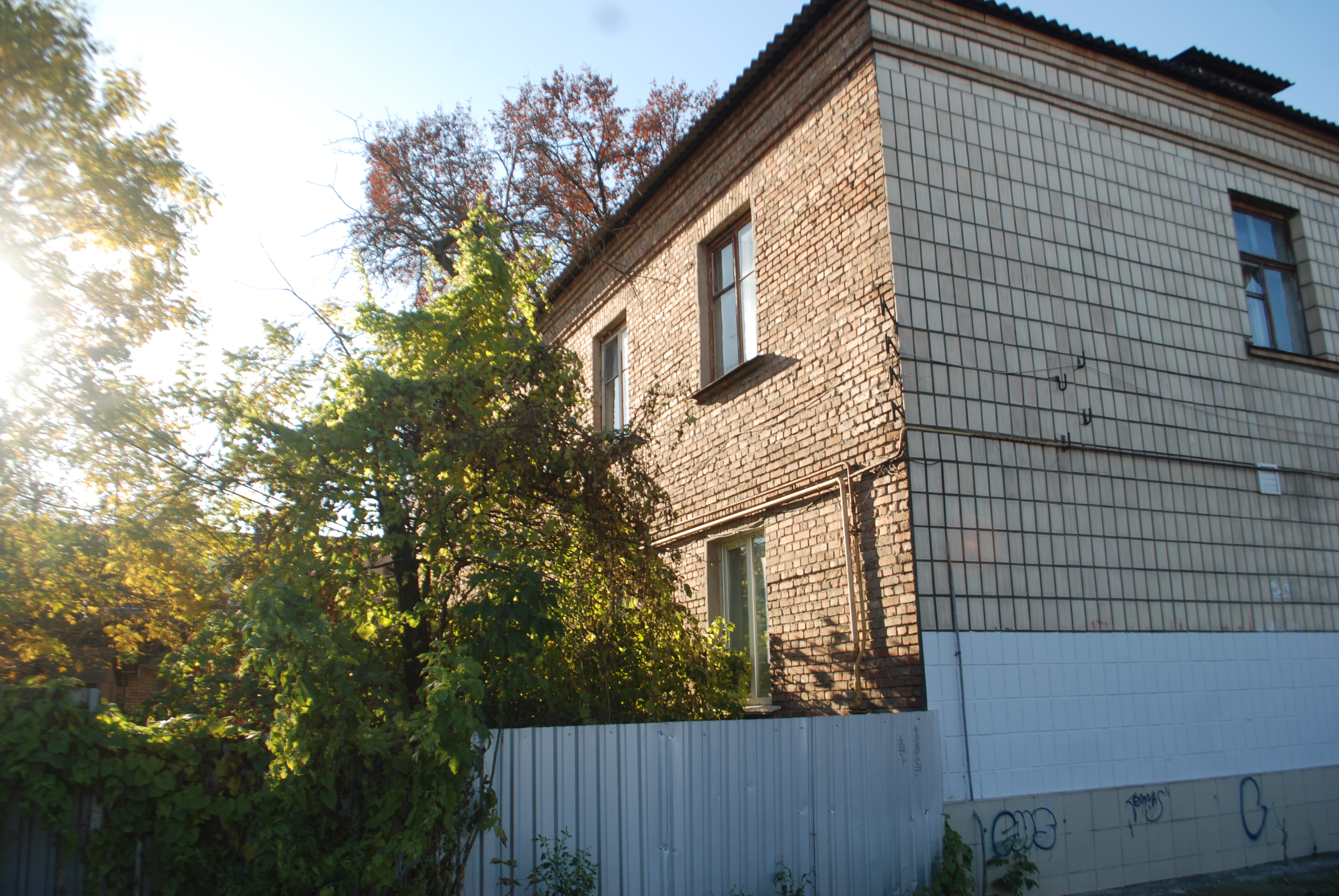 image-6348920