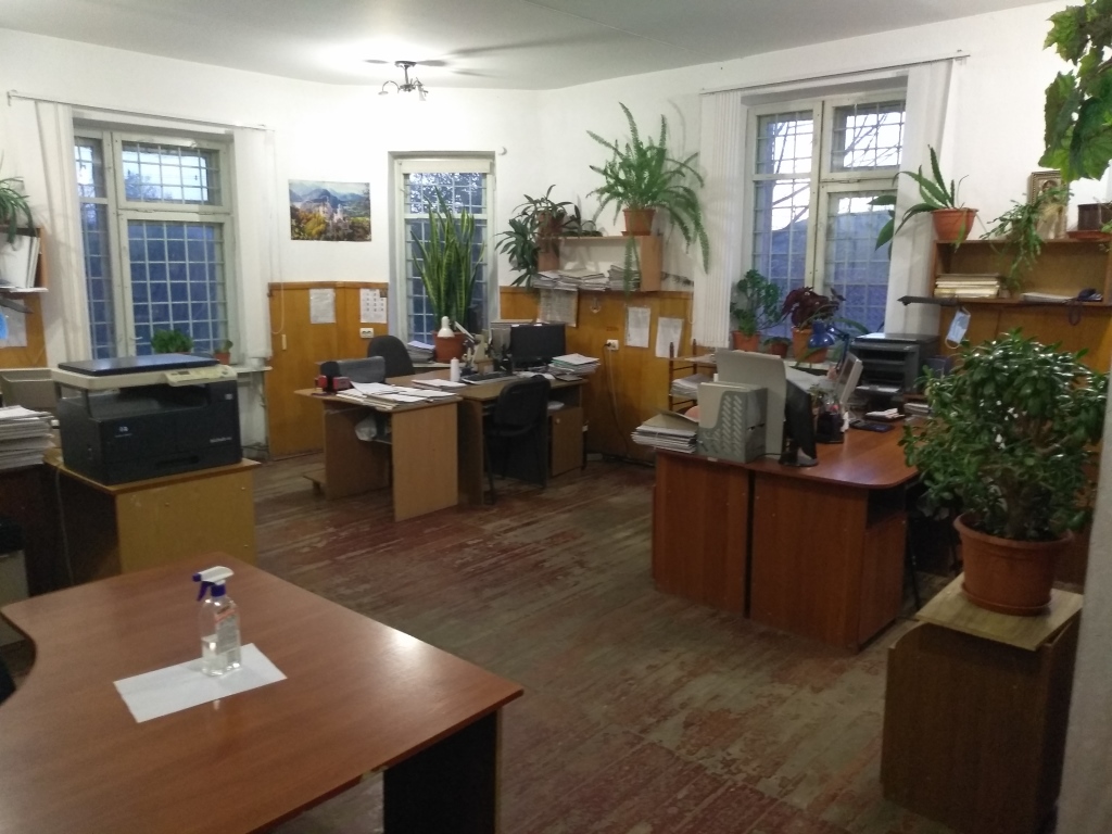 image-11074067