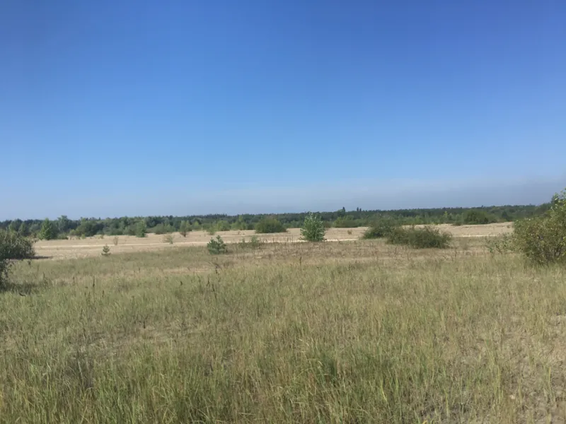 image-64774224