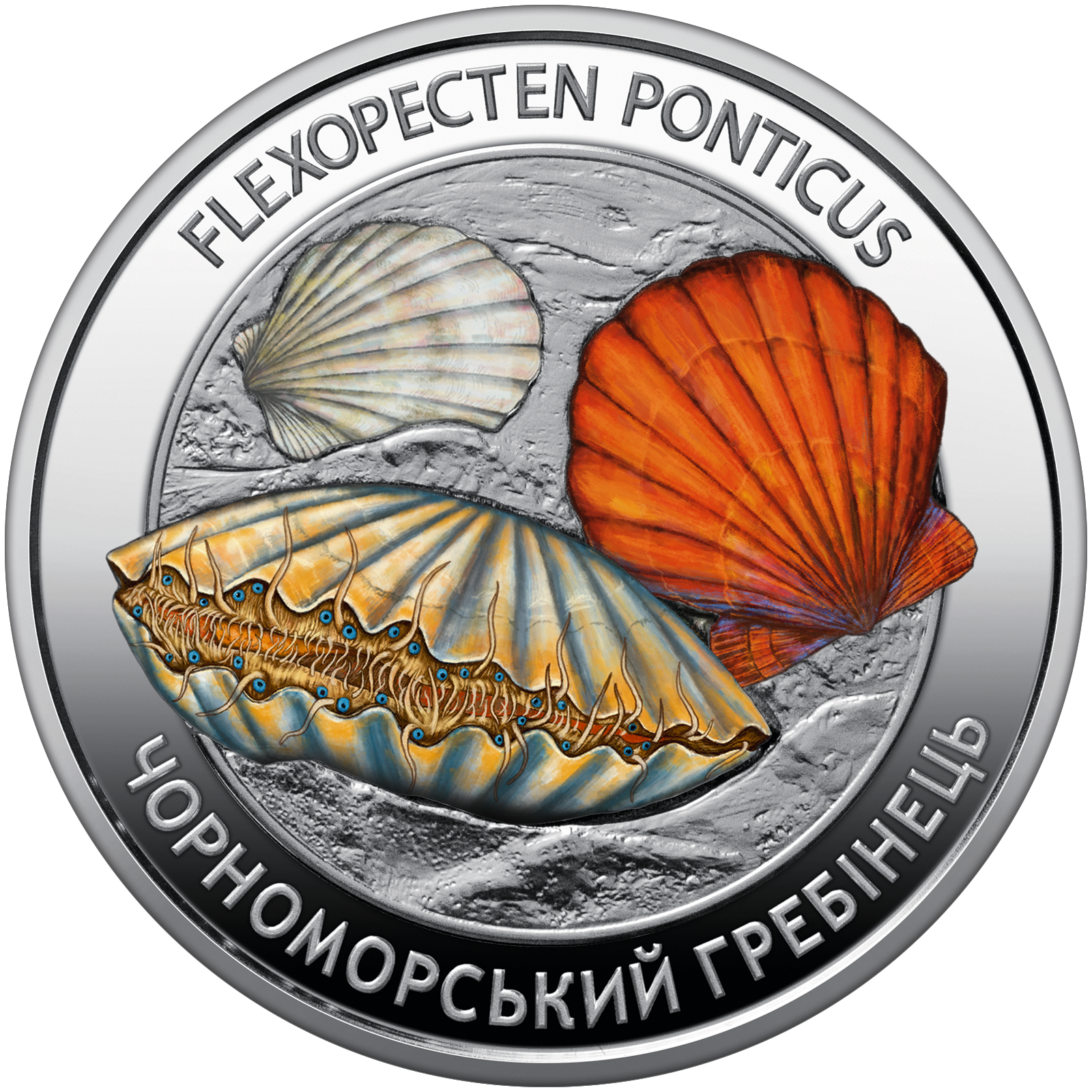 image-185989654